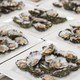 BCCM Dinner photo by chris gleisner - oysters