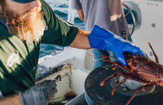 Geraldton Fishermen’s Co-operative Members photoshoot 2017 fisherman with lobster on boat
