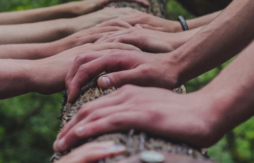 4 people's hands on a log