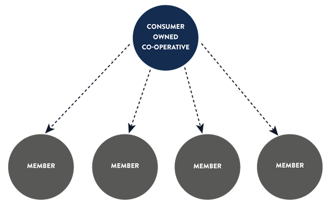 Customer-owned co-operative infographic