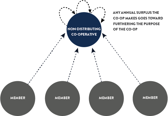 Non-distributing Co-operatives infographic