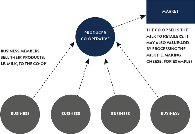 Producer Co-operatives infographic