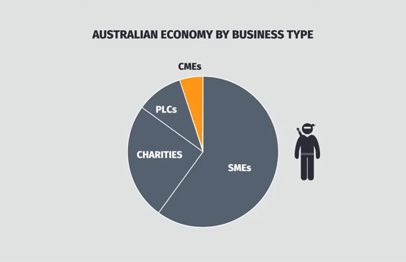 Australian economy by Business Type pie graph