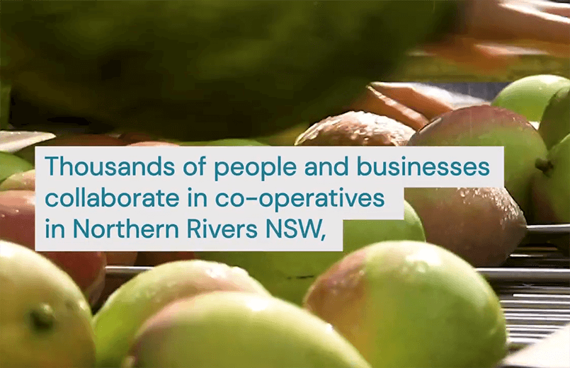Thousands of people and businesses collaborate in co-operatives in Northern Rivers NSW. Words overlayed over mangoes on conveyor belt