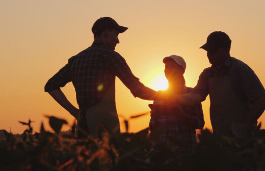 A group of farmers in the field, shaking hands. Family Agribusiness. Team work in agribusiness.