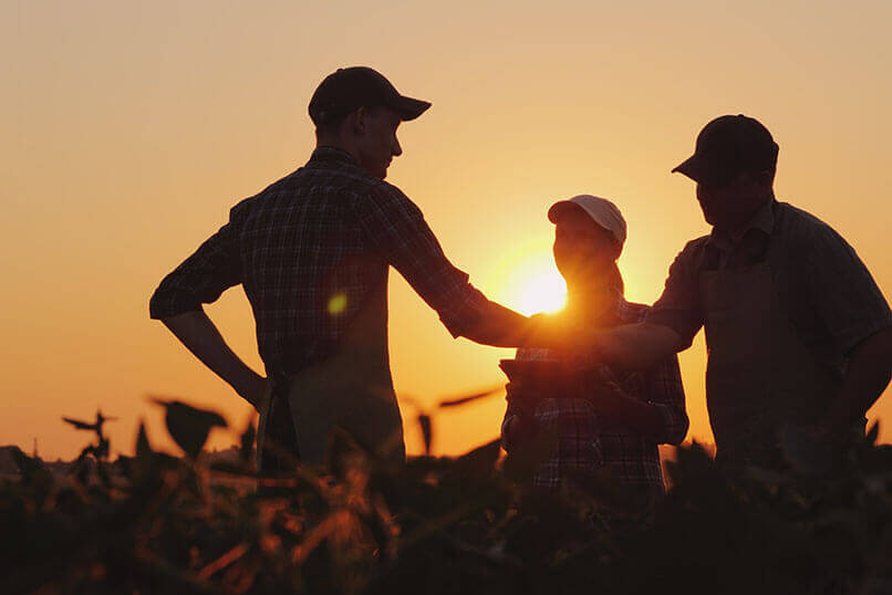 A group of farmers in the field, shaking hands. Family Agribusiness. Team work in agribusiness.
