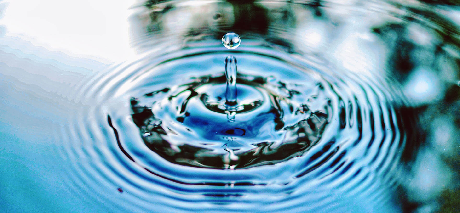 water droplet Photo by Jimmy Chang on Unsplash