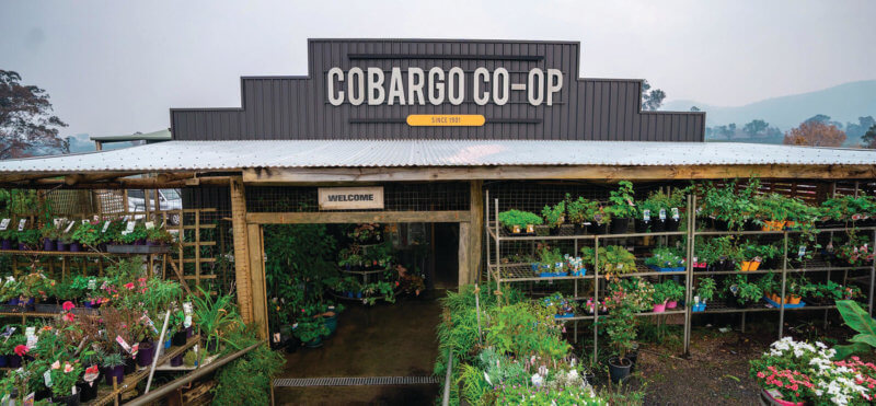 Disaster recovery and resilience: Cobargo Co-operative Society