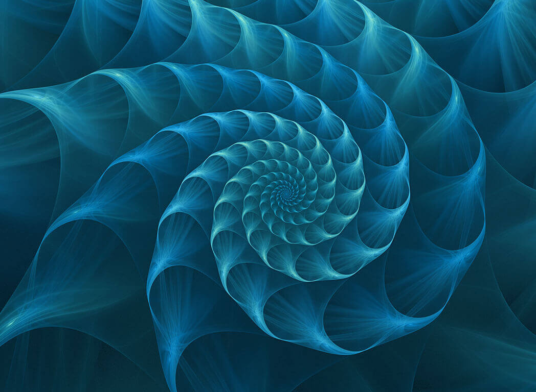 Blue snail illustration