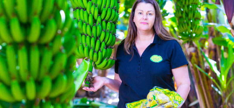 Disaster recovery and resilience: Sweeter Banana Co-operative