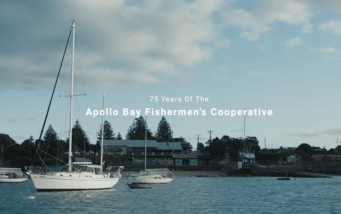 75 Years Of The Apollo Bay Fishermen's Cooperative video