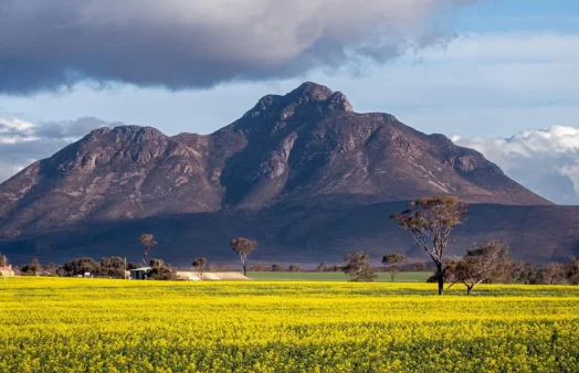 Mount Toolbrunup Stirling range