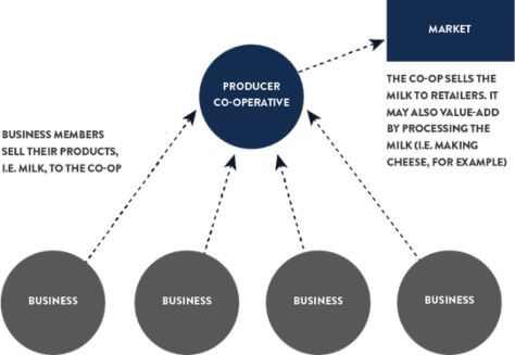 Enterprise (Purchasing) Co-operative info graphic